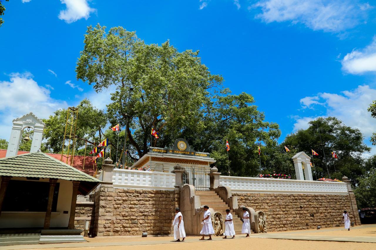 Malwathu Oya Caravan Park Anuradhapura Exterior foto