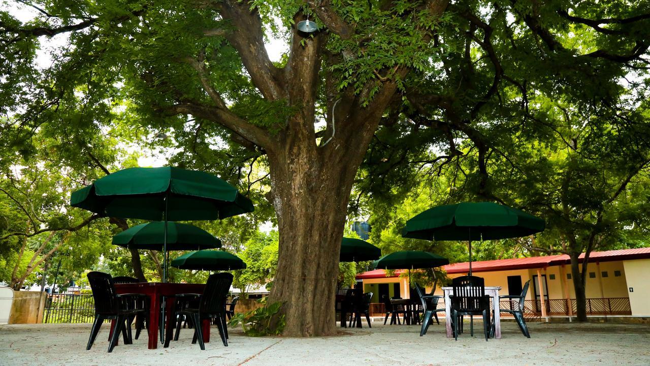 Malwathu Oya Caravan Park Anuradhapura Exterior foto